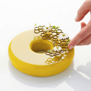 Pavoni Silicone Cake Topper Mould PR004 Circles 1