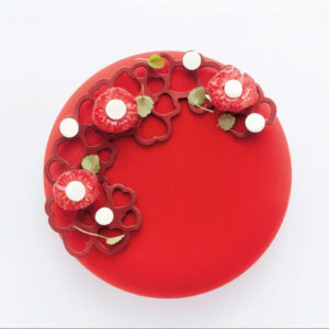 Pavoni Silicone Pastry Topper Mould PR006 Circles 3