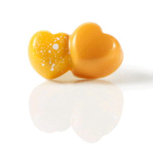 Martellato Polycarbonate Chocolate Mould Double - Hearts